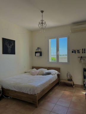Villa avec piscine en camargue